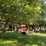 Fecskefeszek Vendeghaz Őriszentpéter