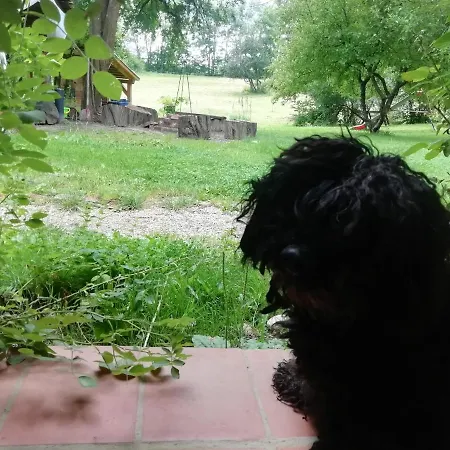 Fecskefeszek Vendeghaz ゲストハウス Őriszentpéter