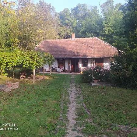 Fecskefeszek Vendeghaz Guest house Oriszentpeter
