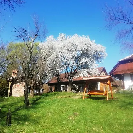 Fecskefészek *