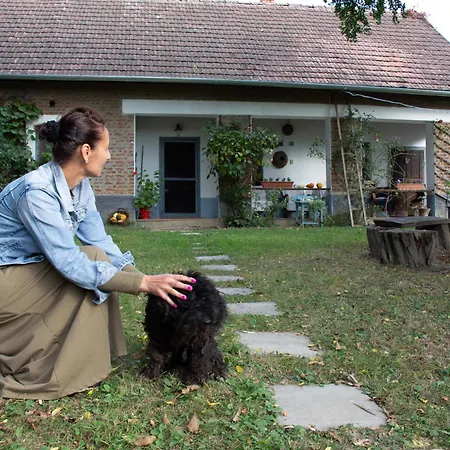 Fecskefeszek Vendeghaz Guest house *