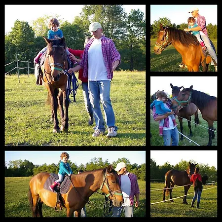 ゲストハウス Fecskefeszek Vendeghaz