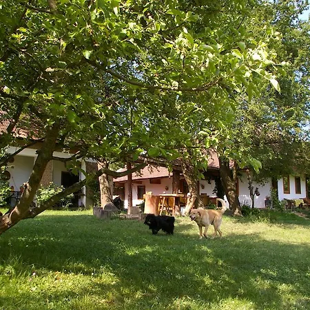 Fecskefészek Őriszentpéter