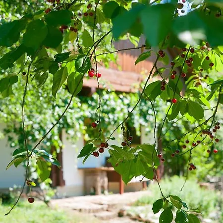 Fecskefeszek Vendeghaz 3* Őriszentpéter