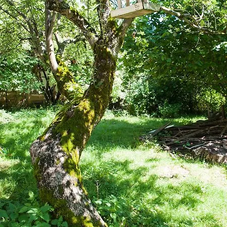 Maison d'hôtes Fecskefészek 3*