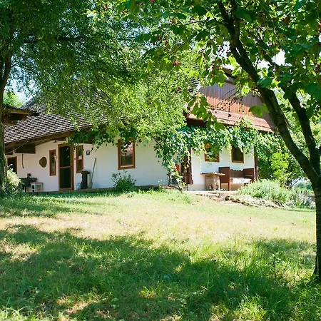 Fecskefeszek Vendeghaz 3*