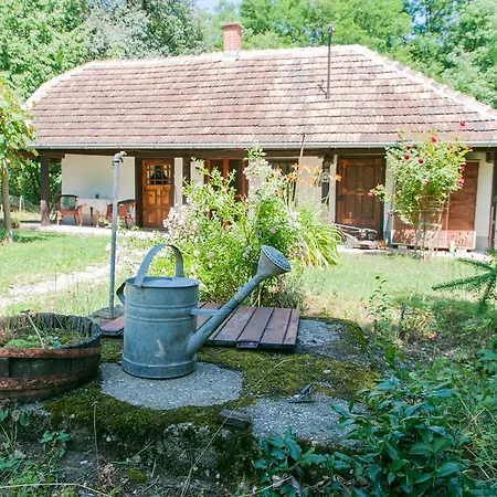 ゲストハウス Fecskefeszek Vendeghaz Őriszentpéter