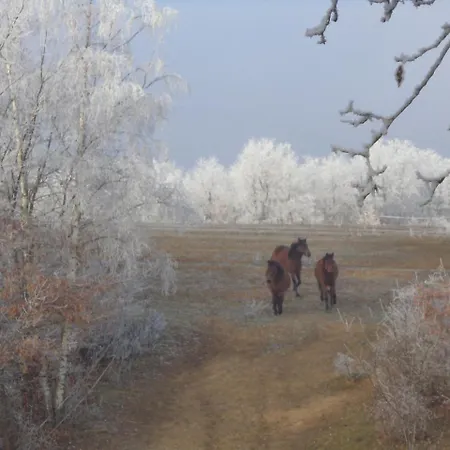 Fecskefeszek Vendeghaz 3*