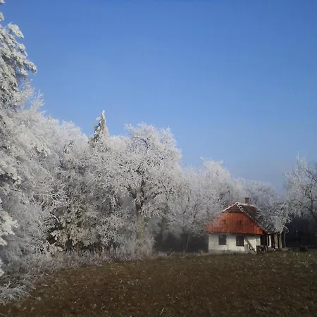 ゲストハウス Fecskefeszek Vendeghaz