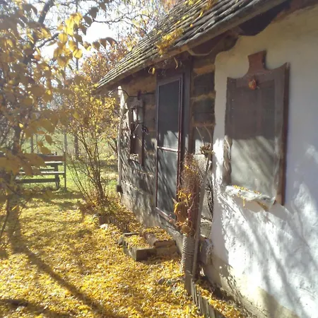 Fecskefeszek Vendeghaz ゲストハウス