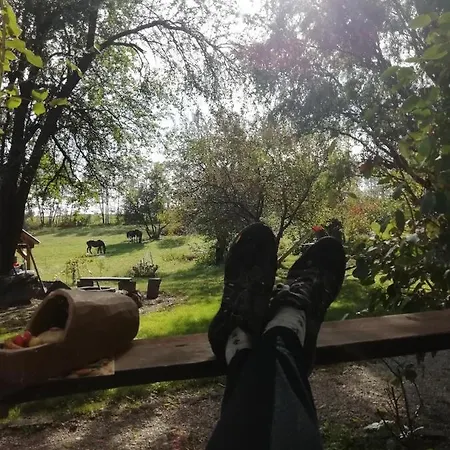 ゲストハウス Fecskefeszek Vendeghaz