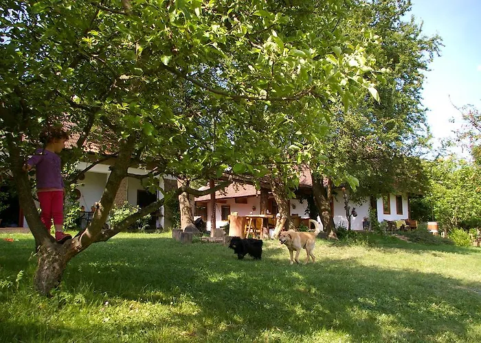 Fecskefészek Őriszentpéter